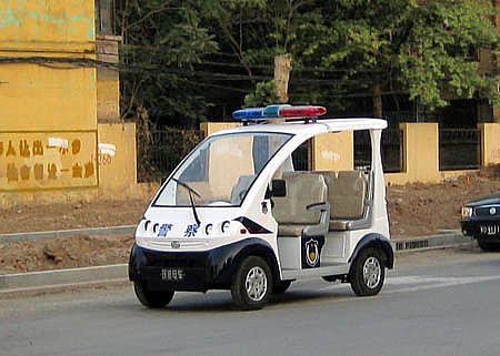 欒城縣東尹村村委會配備躍迪電動巡邏車