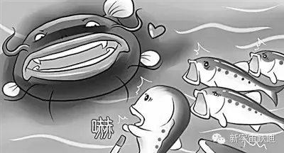充電市場(chǎng)巨頭博弈：國(guó)網(wǎng)撤了 鯰魚來(lái)了 鯊魚也來(lái)了