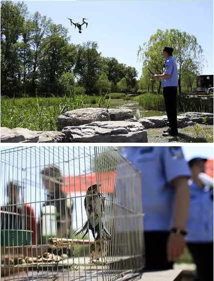 保護(hù)候鳥|躍迪移動(dòng)警務(wù)室——北京首個(gè)濕地移動(dòng)森林警務(wù)執(zhí)法站